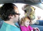 little-girl-almost-eaten-by-camel-funny-video.jpg